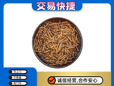 东安区回收散虫草